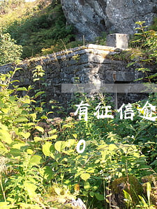 有征信逾期怎么貸款(有征信逾期怎么貸款50萬)