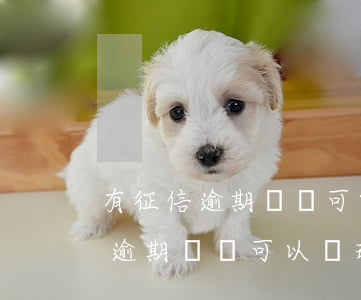 有征信逾期記錄可以辦理信用卡嗎-有征信逾期記錄可以辦理信用卡嗎