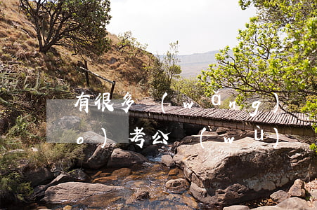 有很多網(wǎng)貸逾期可以報(bào)考公務(wù)員嗎-有很多網(wǎng)貸逾期可以報(bào)考公務(wù)員嗎知乎
