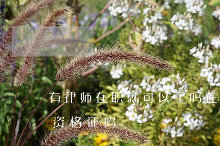 有律师在职就可以了吗(在职人员可以考律师资格证吗)