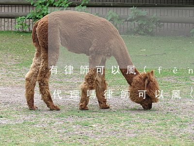 有律師可以風(fēng)險(xiǎn)代理嗎(律師可以風(fēng)險(xiǎn)代理民事案件嗎)