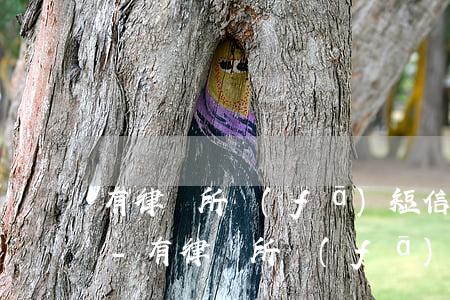 有律師所發(fā)短信逾期還款并至電話-有律師所發(fā)短信逾期還款并至電話是真的嗎