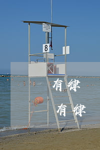 有律師調查資料可以到法院起訴嗎(是不是只有律師可以申請調查取證)