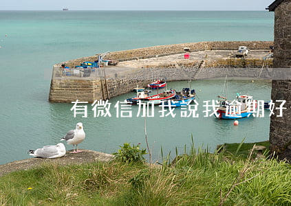 有微信加我說我逾期(好分期逾期加我微信)