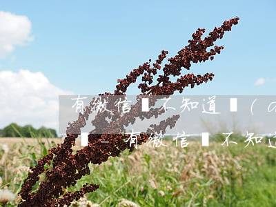有微信卻不知道對(duì)方名字能起訴嗎-有微信卻不知道對(duì)方名字能起訴嗎安全嗎