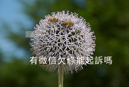 有微信欠條能起訴嗎