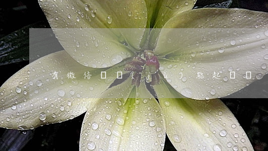 有微信證據(jù)能起訴嗎