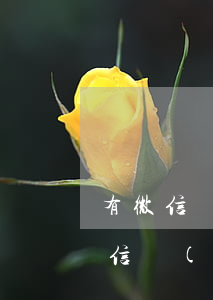 有微信轉(zhuǎn)帳可以起訴嗎(光微信轉(zhuǎn)賬的錢能起訴?)