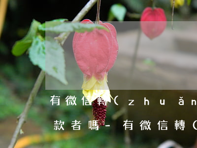 有微信轉(zhuǎn)賬記錄可以起訴欠款者嗎-有微信轉(zhuǎn)賬記錄可以起訴欠款者嗎安全嗎