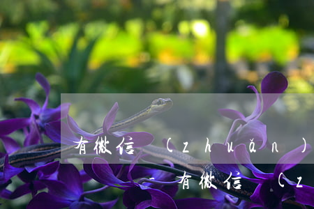 有微信轉(zhuǎn)賬記錄能起訴對方還錢嗎-有微信轉(zhuǎn)賬記錄能起訴對方還錢嗎安全嗎
