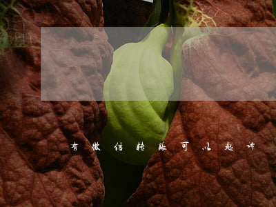 有微信转账可以起诉