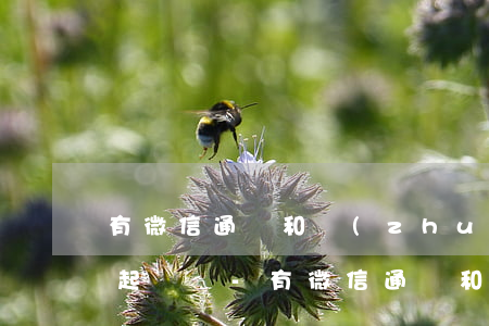 有微信通話和轉(zhuǎn)賬記錄可以起訴嗎-有微信通話和轉(zhuǎn)賬記錄可以起訴嗎安全嗎