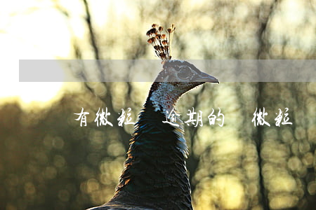 有微粒貸逾期的嗎(微粒貸能逾期么)