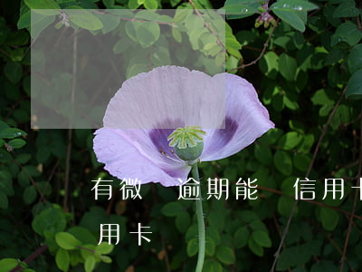 有微貸逾期能辦信用卡嗎(有微貸逾期能辦信用卡嗎)