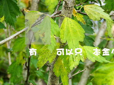 有憑證可以只還本金么(有憑證借條)