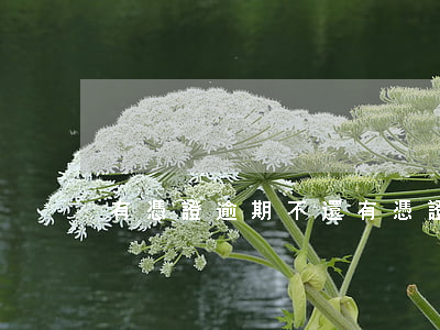 有憑證逾期不還(有憑證逾期不還會坐牢嗎)