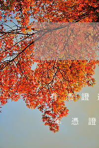 有憑證逾期了 發(fā)現(xiàn)上年憑證有錯(cuò)