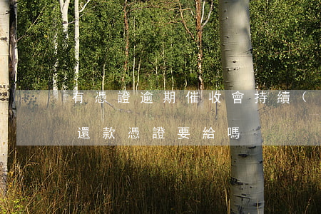 有憑證逾期催收會持續(xù)多久(催收要還款憑證要給嗎)