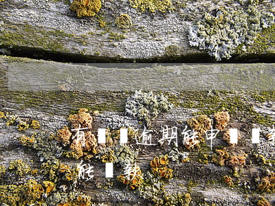 有憑證逾期能申請貸款(有過逾期記錄的能不能貸款)