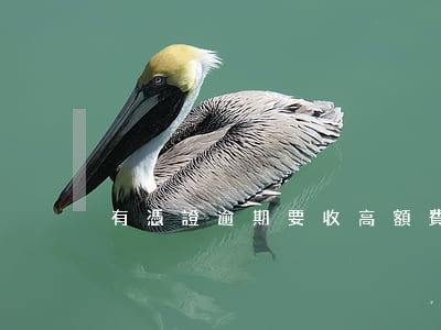 有憑證逾期要收高額費(逾期費用太高怎么辦)