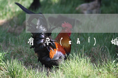 有懷孕時(shí)離婚的嗎