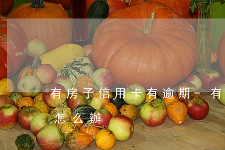 有房子信用卡有逾期-有房子信用卡有逾期怎么辦