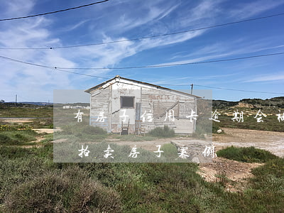 有房子信用卡逾期会被起诉（因信用卡逾期被拍卖房子案例）