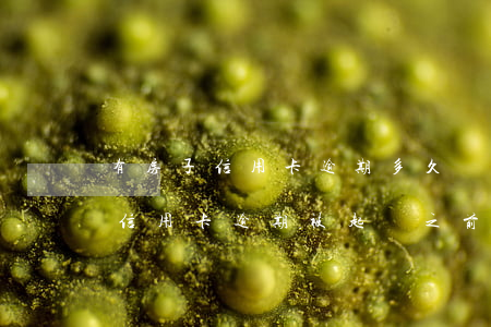 有房子信用卡逾期多久會(huì)被起訴（信用卡逾期被起訴之前會(huì)上門嗎）