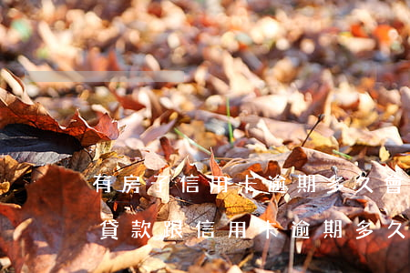 有房子信用卡逾期多久會(huì)被起訴(貸款跟信用卡逾期多久,銀行會(huì)起訴)