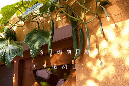 有房貨逾期還能辦信用卡嗎-名下有房子信用卡逾期會(huì)上門嗎