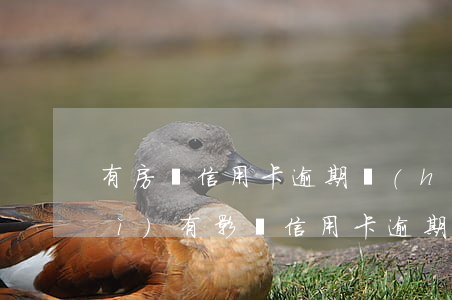 有房貸信用卡逾期會(huì)不會(huì)有影響（信用卡逾期和房貸有什么影響）