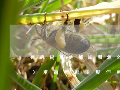 有房貸其他都逾期怎么辦(房貸經(jīng)常每月都逾期但后面都還了會(huì)怎么樣)