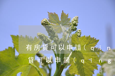 有房貸可以申請(qǐng)停息掛賬(有房貸可以申請(qǐng)停息掛賬嗎)