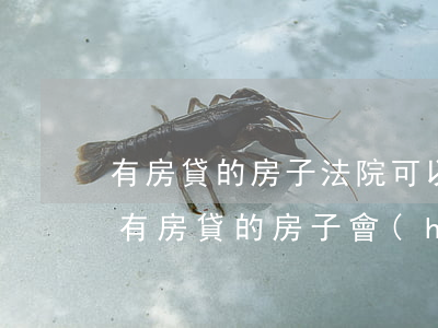 有房貸的房子法院可以執(zhí)行走嗎(有房貸的房子會(huì)被法院執(zhí)行嗎)