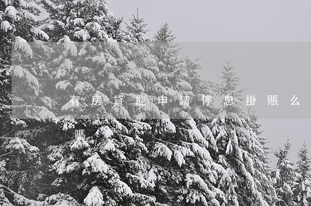 有房貸能申請停息掛賬么(房貸可以停息掛賬嗎)