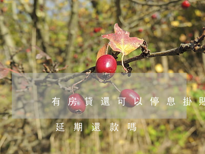 有房貸還可以停息掛賬嗎(房貸可以停息掛賬延期還款嗎)