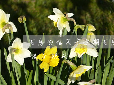 有房贷信用卡逾期(有房贷信用卡逾期可以申请分期码)
