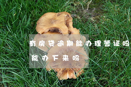 有房贷逾期能办理签证吗(信用卡有逾期房贷能办下来吗)