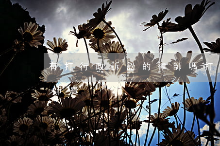 有打行政訴訟的律師嗎(打行政訴訟要2萬律師費)