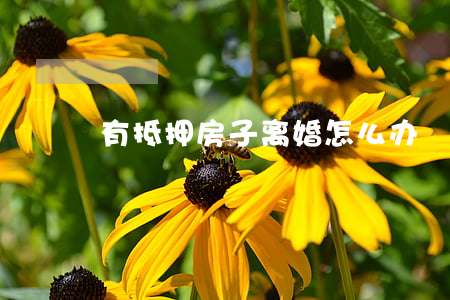 有抵押房子离婚怎么办