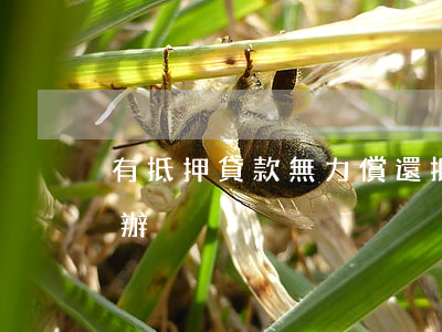 有抵押貸款無力償還(抵押貸款無力償還怎么辦)