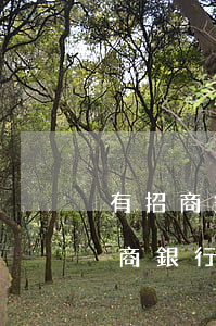 有招商銀行協(xié)商還款成功的嗎（招商銀行協(xié)商還款好嗎）