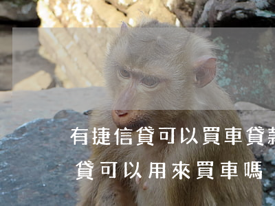 有捷信貸可以買車貸款嗎(網(wǎng)捷貸可以用來買車嗎)