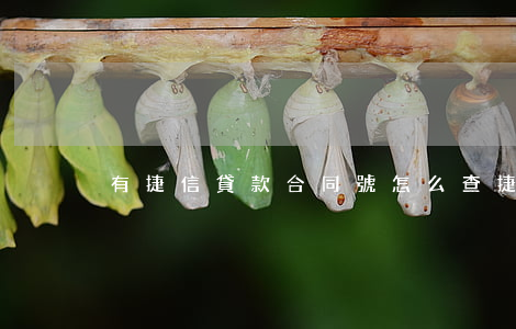 有捷信貸款合同號怎么查(捷信貸款號碼)