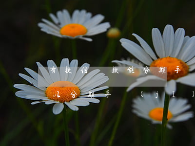 有捷信貸款能分期手機(jī)嗎(捷信還可以分期手機(jī)嗎)