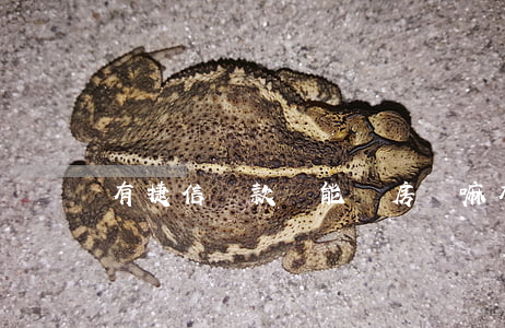 有捷信貸款還能辦房貸嘛(有捷信貸款能辦房貸嗎)