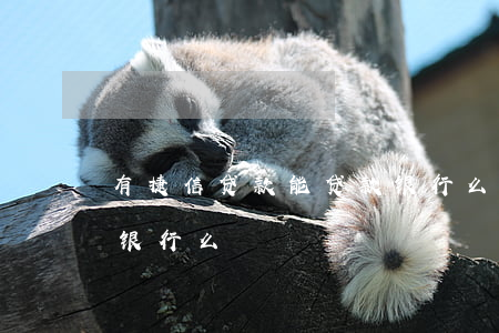 有捷信贷款能贷款银行么(有捷信贷款能贷款银行么)