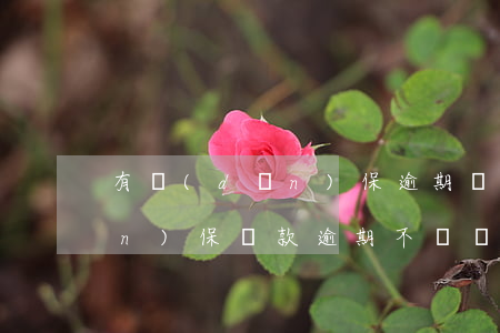 有擔(dān)保逾期還能貸款嗎(擔(dān)保貸款逾期不還擔(dān)保人會怎么樣)