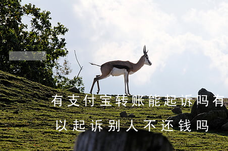 有支付宝转账能起诉吗(有支付宝转账记录可以起诉别人不还钱吗)