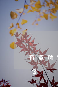 有支付宝逾期两三年的吗（支付宝逾期4年多了）